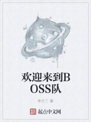 欢迎来到boss队百度百科