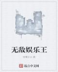 无敌娱乐王txt