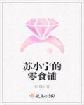 空间小农女苏小锦