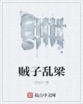 乱贼是什么意思