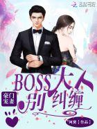 BOSS大人别纠缠作文