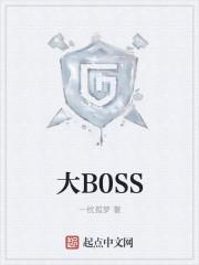 大boss非要取我