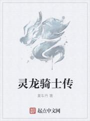 龙灵骑士新书