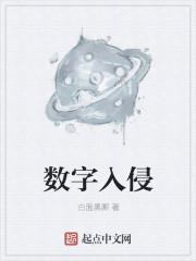 星球重启数字入侵