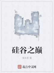 硅谷之称的是什么城市