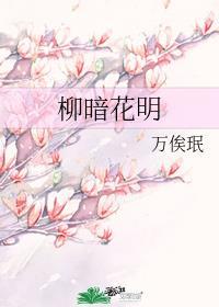 柳暗花明by丹青手