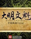 大明文魁epub